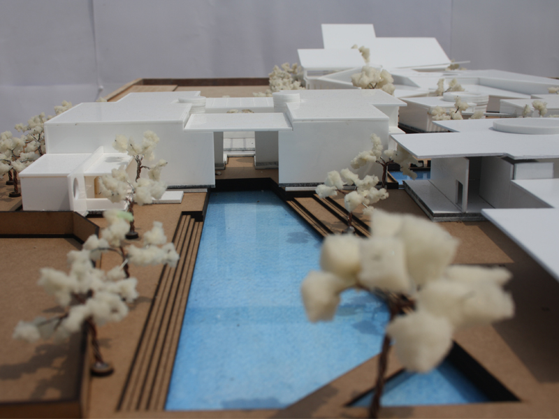 move on - healing through movement